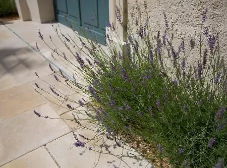 Otel College Des Doctrinaires, Hotel, Et 4*