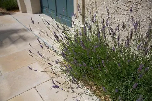 Отель College Des Doctrinaires, Hotel, Et 4*